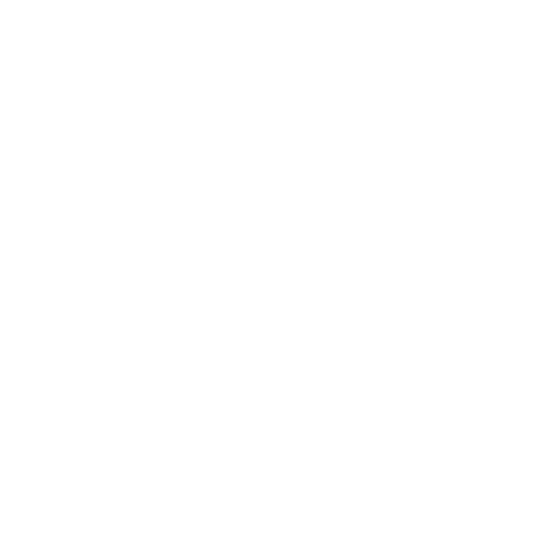 camera (1)