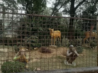 unnamedhyjumgyugyfhtgfasaecaewsreaw