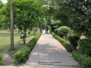 yfutyrtesryfugihjklklkjhggfsgxchvb